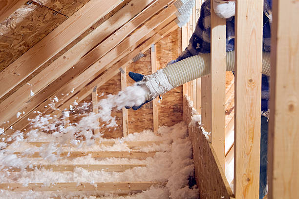 Best Insulation Air Sealing in Choctaw Lake, OH